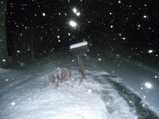 snowy night waiting for a friend