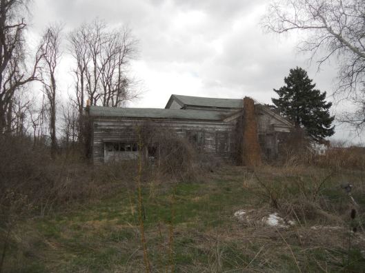 a touch of wabi sabi