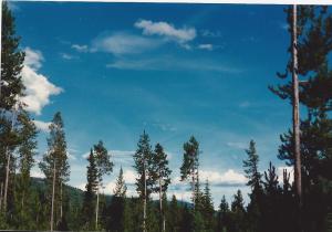 Clouds-Grand Tetons campground, summer 1987