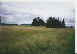 Minnesota farm
