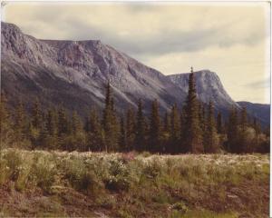 Montana outside Glacier Park 1981