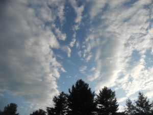 my friend points... "see" "look what it says up there"