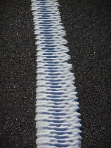 wind taking all but the tracks...