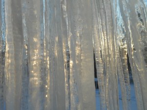 sunset through the icicles...