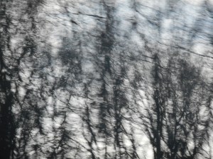 now it's time to let go of this day, to sleep and take up the life of dreams and nothingness