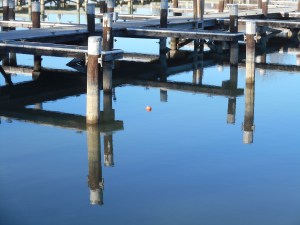 these moments  staring into the water as if there was an answer there