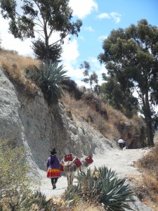 on the road even daylight comes and goes...