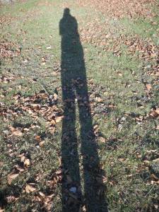 beyond who i am my shadow...