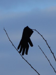 in the world of lost and found always waiting...