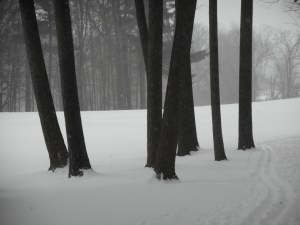 snowfall my daughter asks where we are going