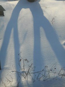 sun  turning the tree creatively...