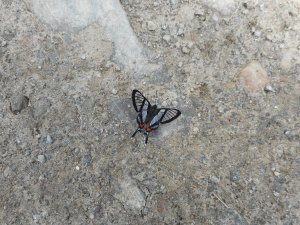 is it the prize of growing older these vivid dreams so much more dramatic then what I do awake