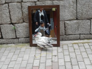 playing a child's game...            i learn all             his rules