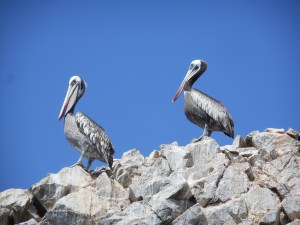 too many memories to remember them all- being here now