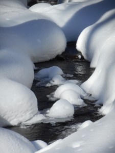 the cold walk, silence between us the creek running under ice