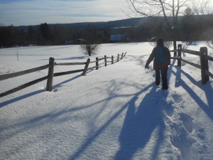 once it took so long for the season's change but now everything faster- how strange the way I want time to just stand still