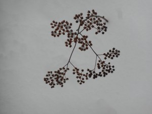 the layers of feeling deeper and deeper showing through...