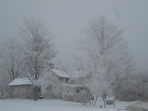 one day... the way the neighbor's house calls for a photo