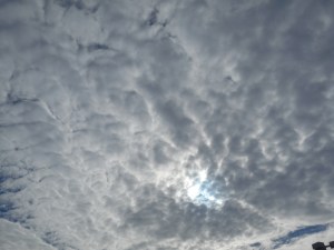 another day i witness  the sky grading out my life too, so caught in circles