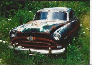 resting  in the green summer time...