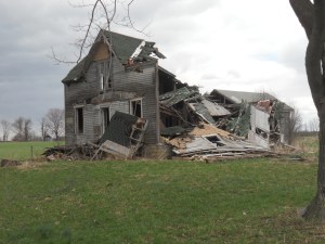 the last family  long gone with the wind