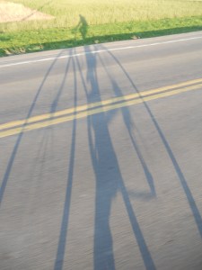 riding along...  my shadow stretches in motion