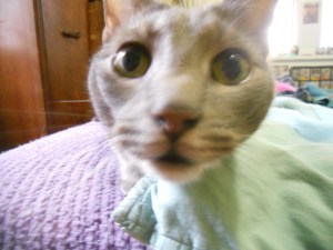 let me see... there he is with that camera again!