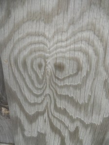 two eyes stare back from the plywood