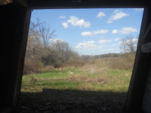 old barn shifting  in time the view out back