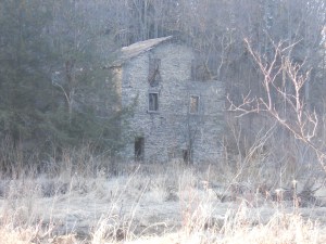 the stone walls still holding up some roof and letting light in too...