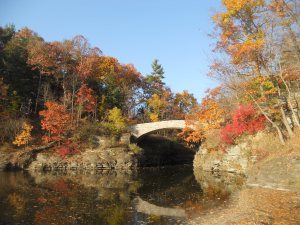 the aesthetics of each season in turn...