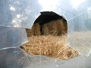 looking through the broken window for clues....