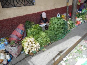 bundled in a pretty shawl carried on the her back