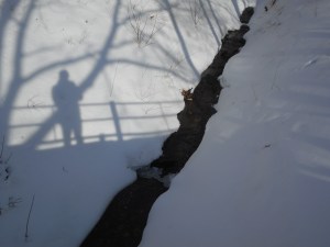 from the bridge my shadow looks back for a photo