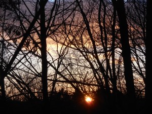 a moment before our sun leaves us to another night...