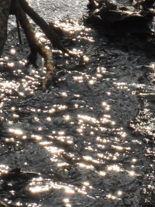 spring sun sparkling downstream on the stream...
