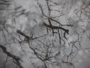 breaking the reflection stillness  rain drops