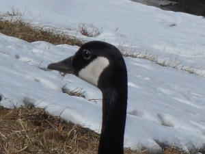 eye to eye the exchange of a moment