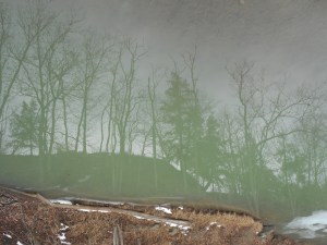 that line between reality and dream