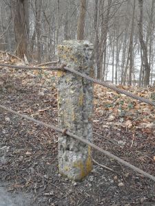 staggered along the road guard rails