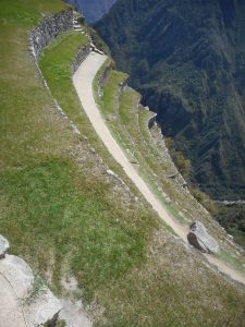 Machu Picchu  the look down the steep terraces...