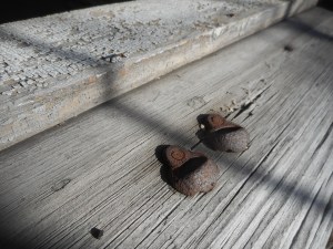 weathered window sill ... the window gone and the house abandoned