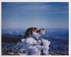 Mt. Washington- windiest place on earth on a rare windless day