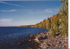 the clarity of being here now as witness