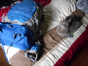 ready to leave Squirrel cat poses next to my pack