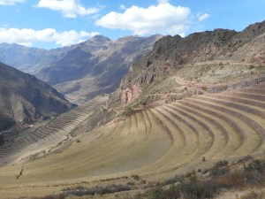 terraces follow the contours around the mountain 