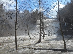 Ithaca Falls in full fury of falling snow melt
