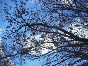 seeing through the here and now my daydream...