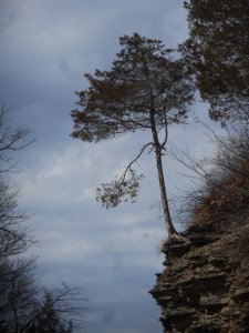 on a ledge holding on year after year