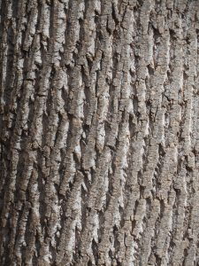 looking  into it  just to see... 